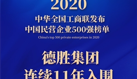 連續11年,樂山唯一!集團上榜2020中國民營企業500強